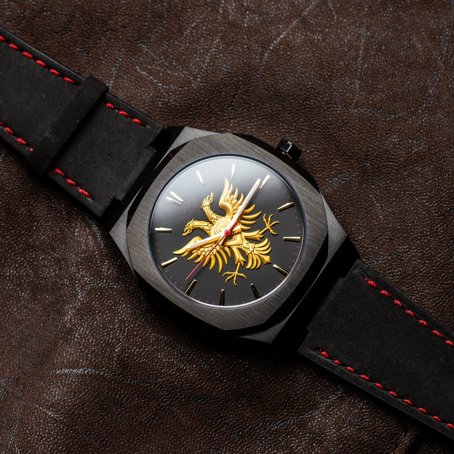 Albanian Eagle watch
