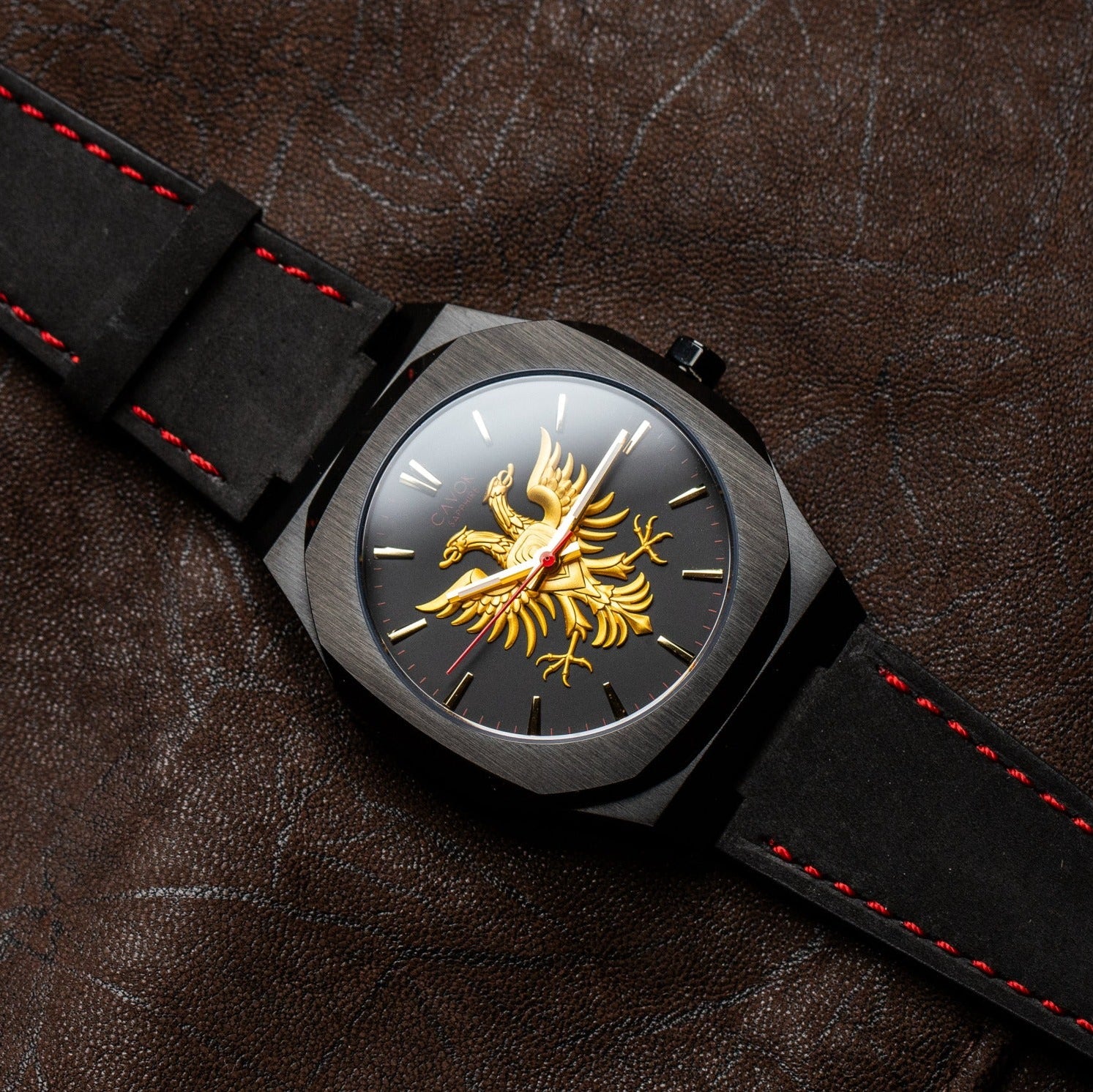 Albanian Eagle watch