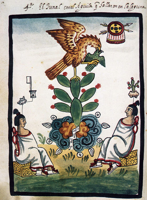 What Is the Águila Mexicana? The Meaning Behind Mexico's Eagle Symbol